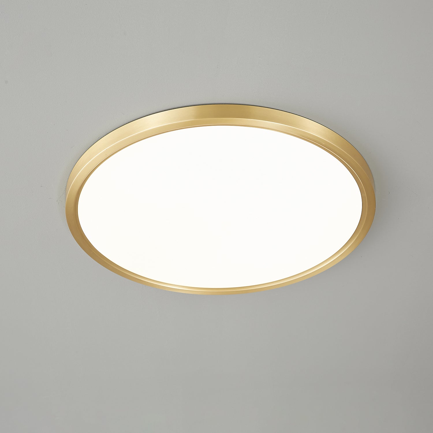 Aurea Disc Ceiling Light