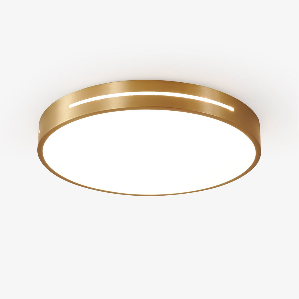 Caelum Ceiling Light