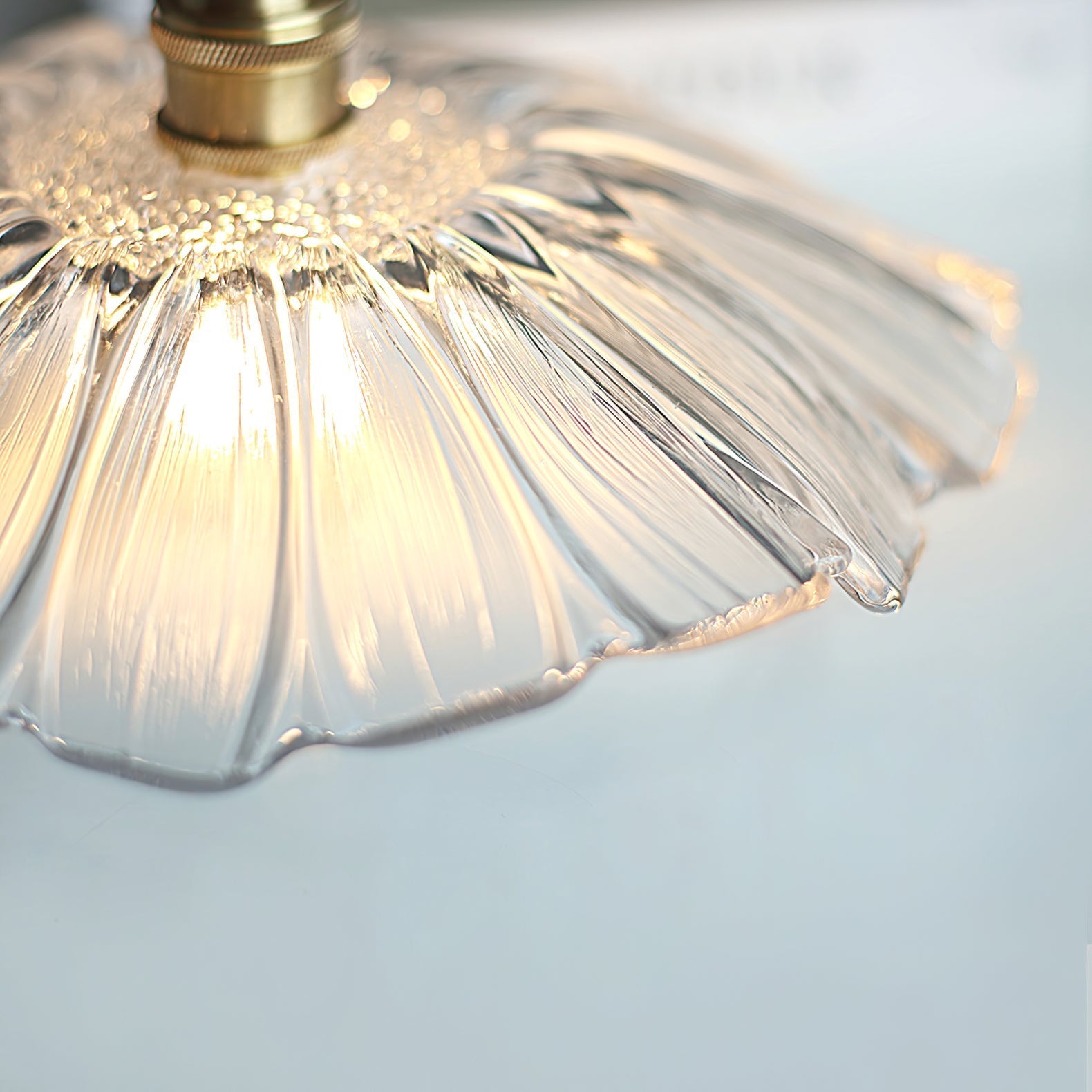 Flower Glass Swag Lights