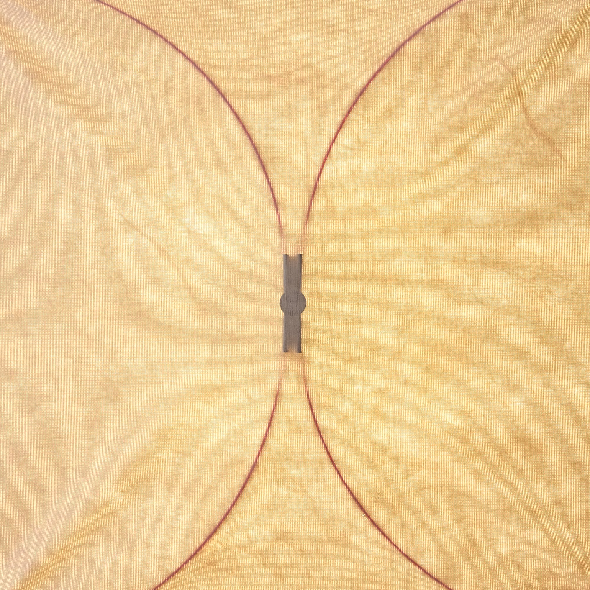 Kite Wall Light