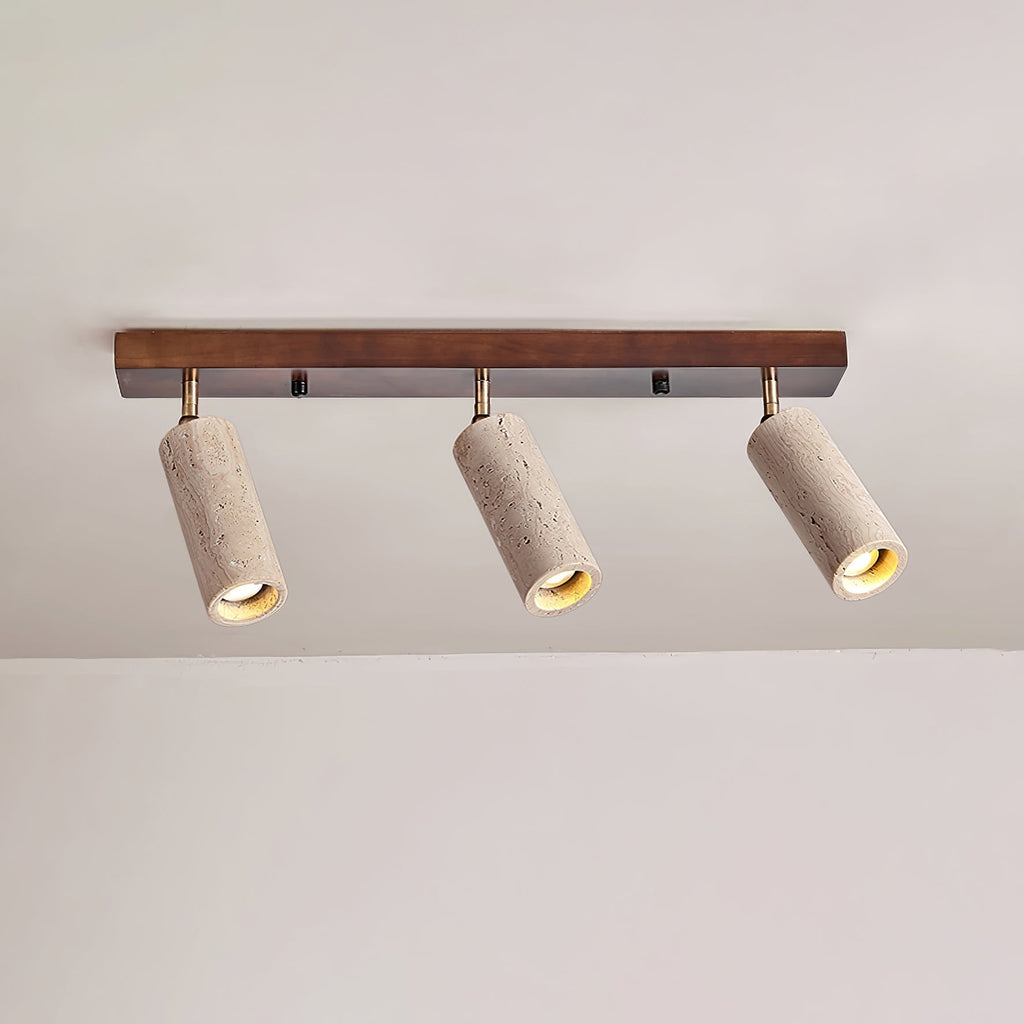Nimbus Ceiling Spotlight