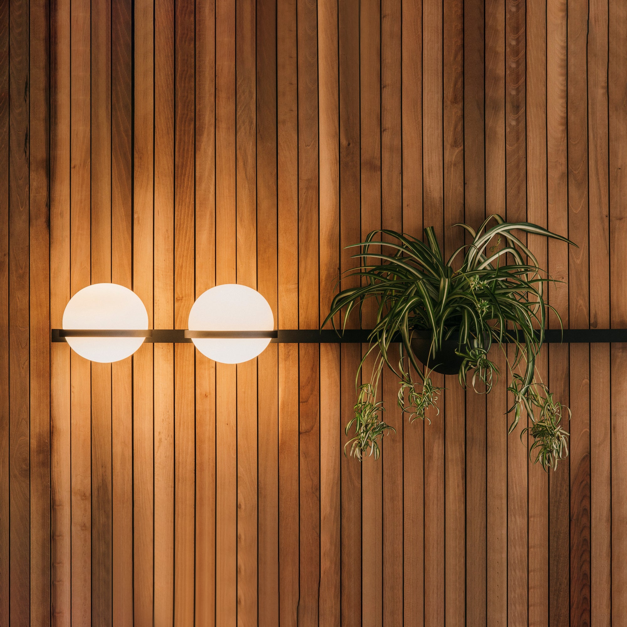 Solstice Outdoor Wall Light