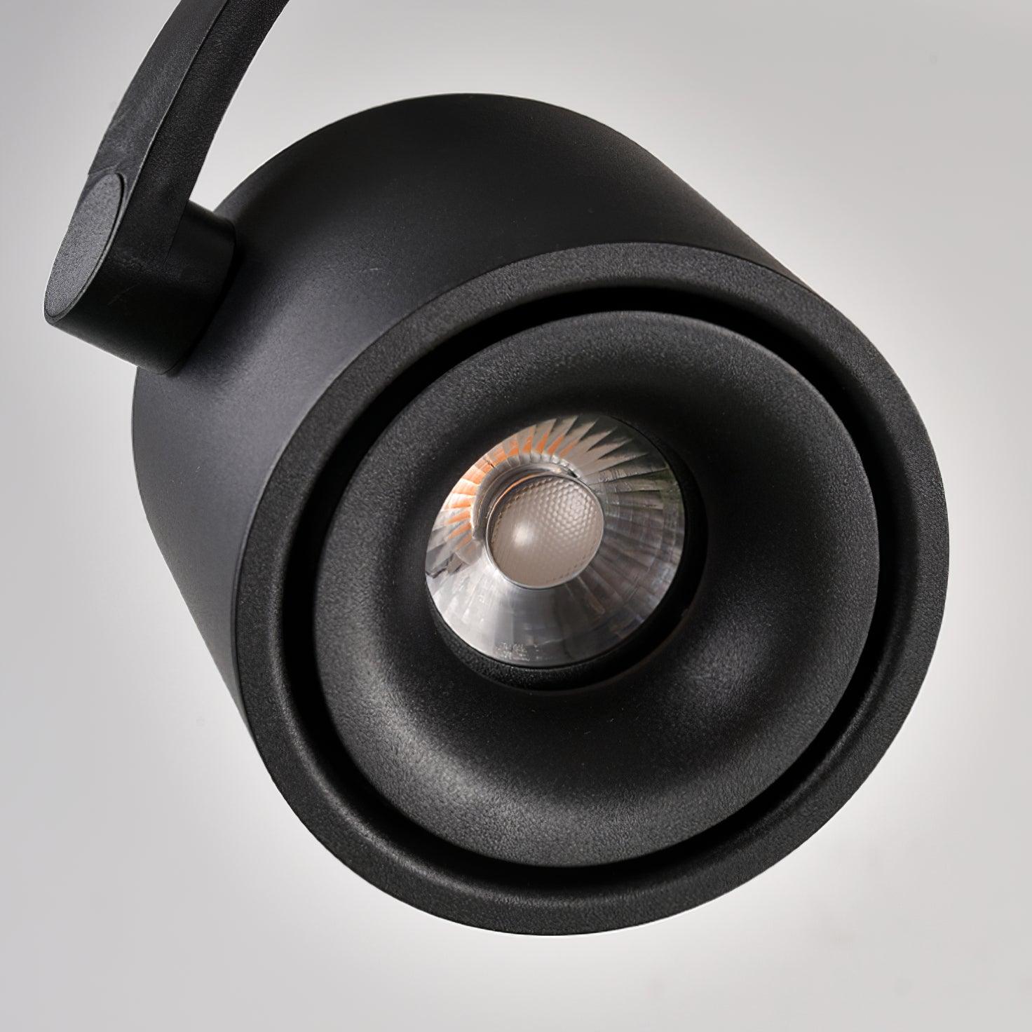 Paloma Ceiling Light