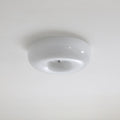 Swirl Glass Ceiling Lamp