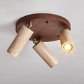 Terra Beam Ceiling Light